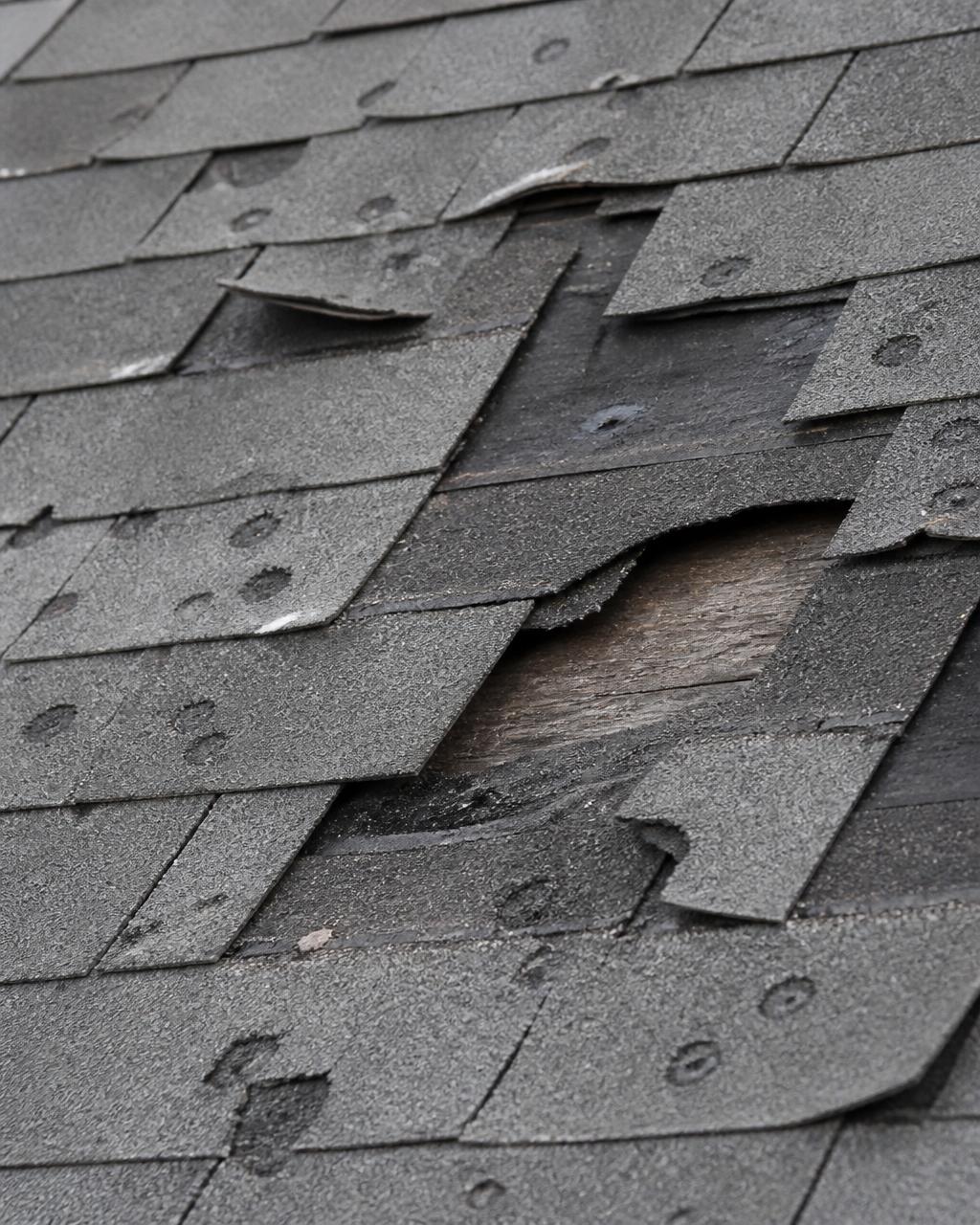 Hail-damaged grey shingles with lifted edges and exposed decking
